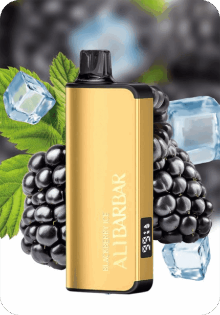 Blackberry Ice ALIBARBAR 9000 puffs rechargeable mesh coil vape Australia stock