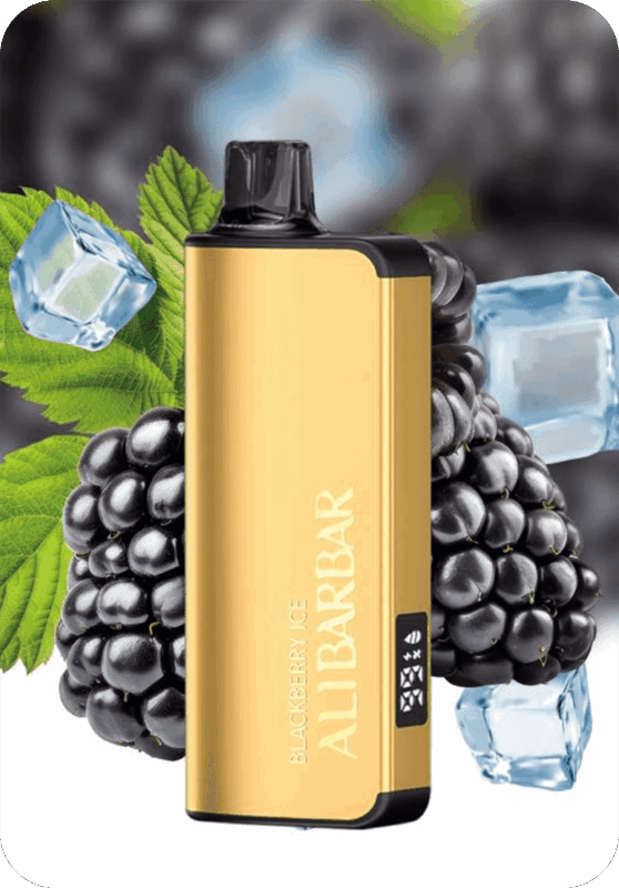 Blackberry Ice ALIBARBAR 9000 puffs rechargeable mesh coil vape Australia stock