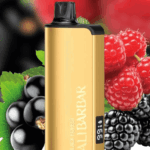 Black Forest ALIBARBAR 9000 puffs mesh coil rechargeable dessert vape Australia