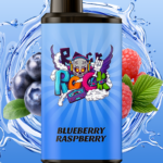 Blueberry Raspberry IGET Bar Pro 10000 puffs double mesh coil rechargeable vape Australia