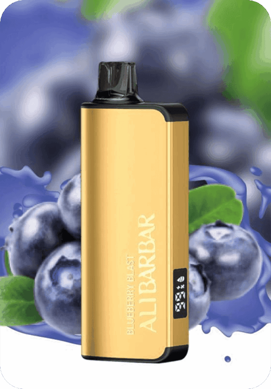 Blueberry Blast ALIBARBAR 9000 puffs mesh coil rechargeable disposable vape Australia stock