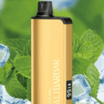 Cool Mint ALIBARBAR 9000 puffs mesh coil rechargeable menthol disposable vape Australia