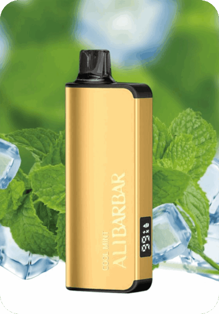 Cool Mint ALIBARBAR 9000 puffs mesh coil rechargeable menthol disposable vape Australia
