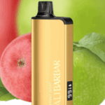 Double Apple ALIBARBAR 9000 puffs mesh coil rechargeable apple shisha disposable vape Australia