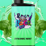 Dynamic Mint IGET Bar Pro 10000 puffs double mesh coil rechargeable disposable vape Australia stock