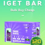 IGET Bar 3500 puffs bulk 120 pack master case wholesale Australia factory stock