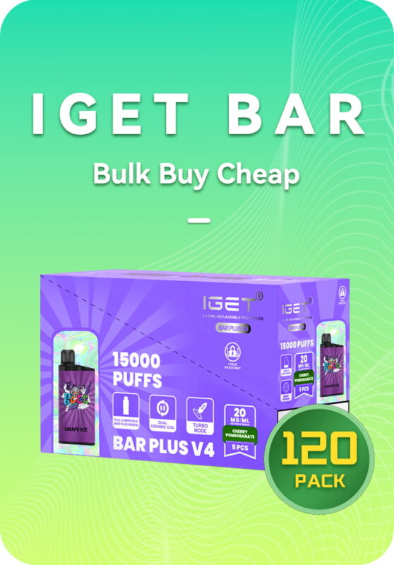 IGET Bar 3500 puffs bulk 120 pack master case wholesale Australia factory stock