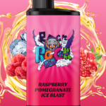 Raspberry Pomegranate Ice Blast IGET Bar Pro 10000 puffs double mesh coil rechargeable disposable vape Australia stock