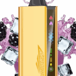 IGET JNR CRUISER 12K Australia 12000 puffs disposable vape