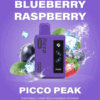 Blueberry Raspberry Grape Ice