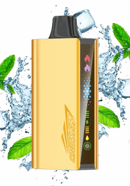 Cool Mint Jnr Cruiser 12K IGET Australia 12000 puffs disposable vape
