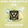 Kiwi Pineapple Ice