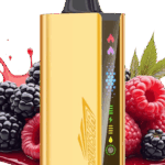 Mixed Berry Jnr Cruiser 12K IGET Australia 12000 puffs disposable vape