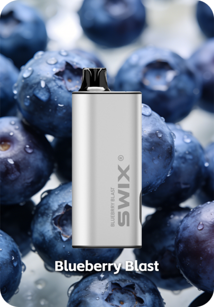Blueberry Blast SWIX 9K 22ml e-liquid 2550mAh battery vape Australia