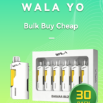 WALA YO 18K BULK 30 PACK Australia Wholesale Vapes 18000 Puffs Dual Mesh