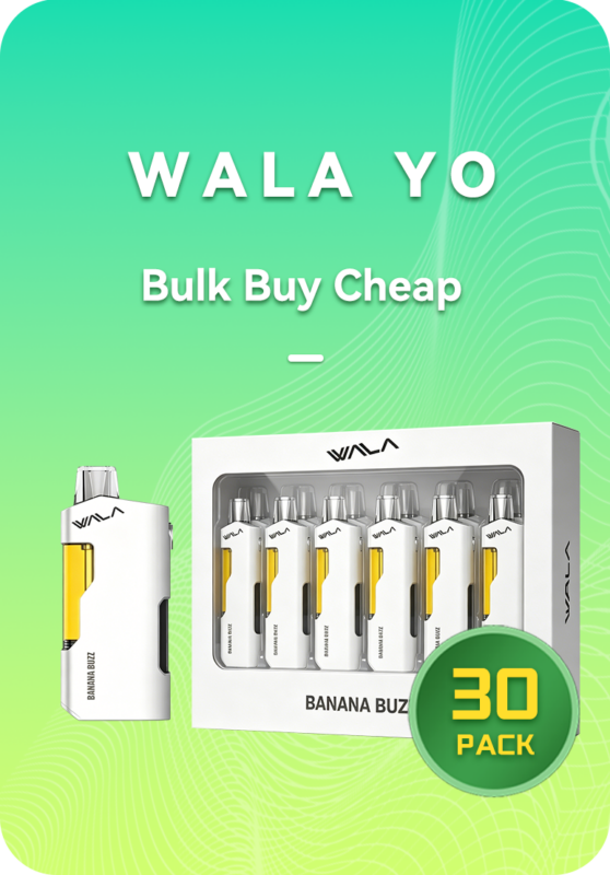 WALA YO 18K BULK 30 PACK Australia Wholesale Vapes 18000 Puffs Dual Mesh