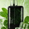 Fresh Mint